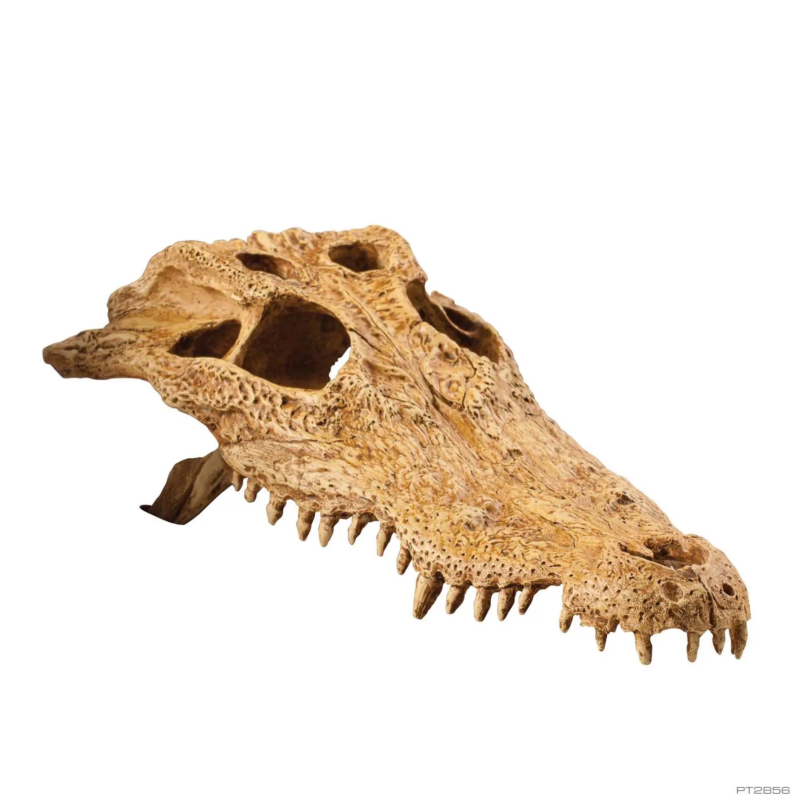 EXO TERRA PT2856 CROCCODILE SKULL