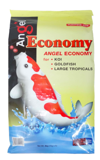 Angel Economy F
