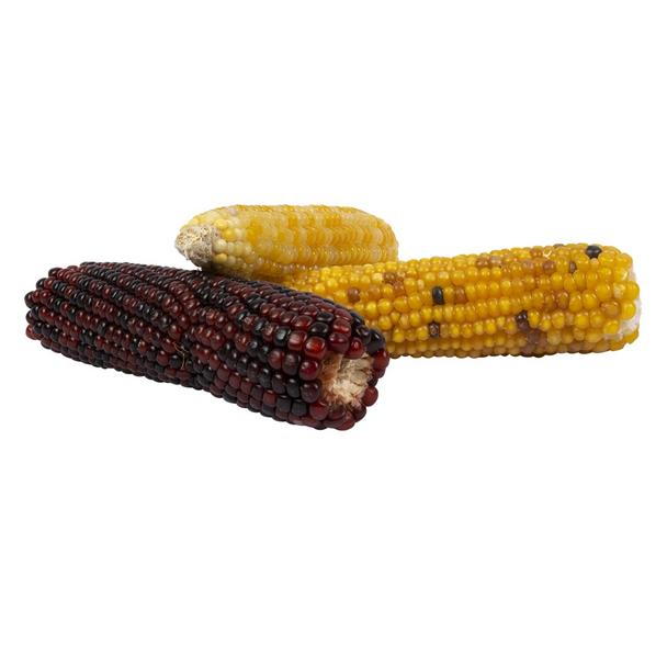 LAROY DUVO Corn Cob Mix 3pcs/pack 