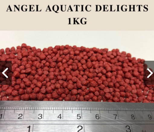 Angel Aquatic Delights Fish Food 5KG