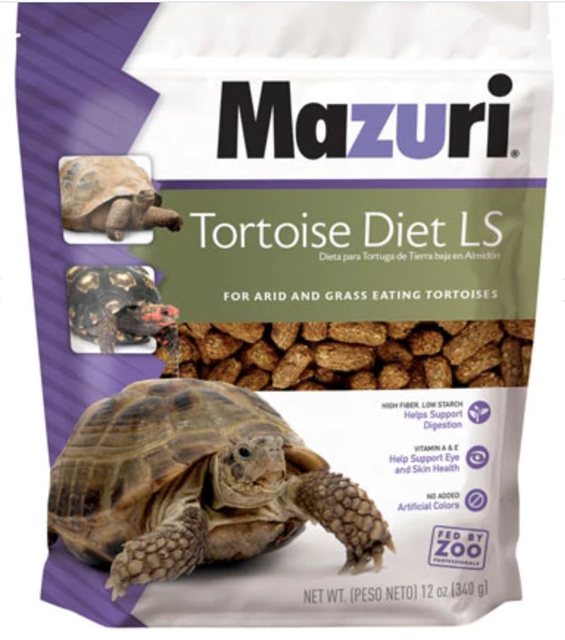 MAZURI TORTOISE