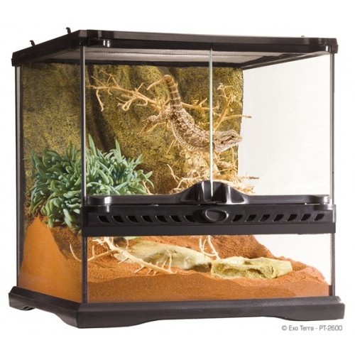 Exo Terra Terrarium Mini Wide PT2600 30 x 30 x 30cm 12