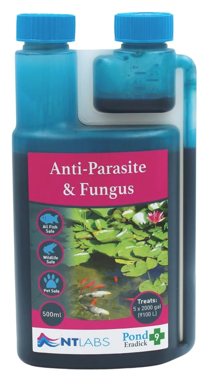 NT LABS Pond Eradick 500ml (treat fungus and fin rot)  by NT LABS