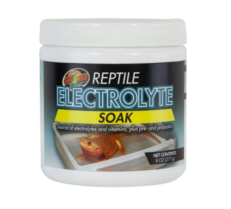 Zoo Med Reptile