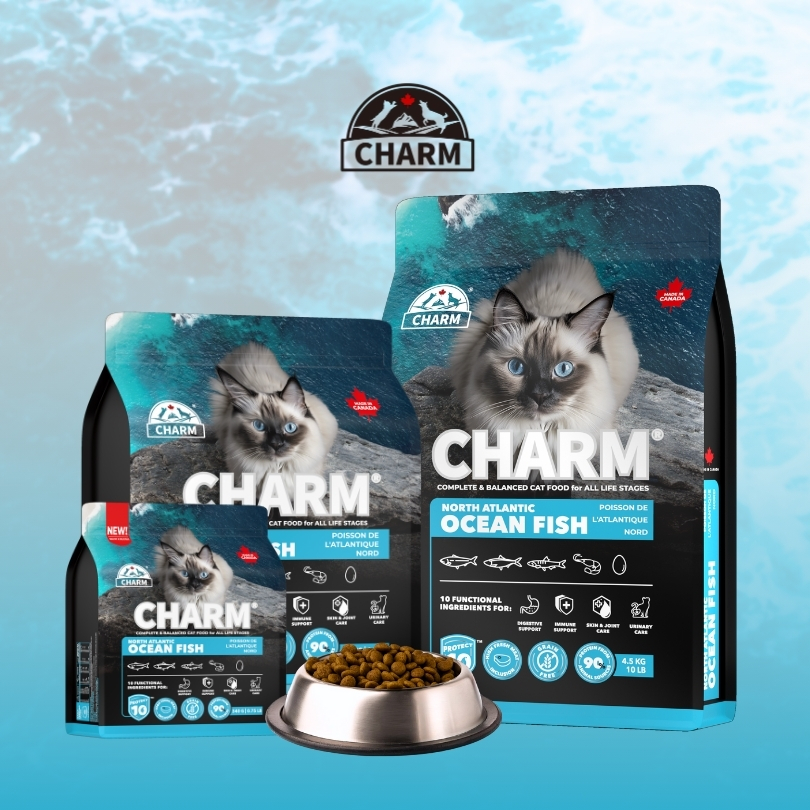CHARM NORTH ATL