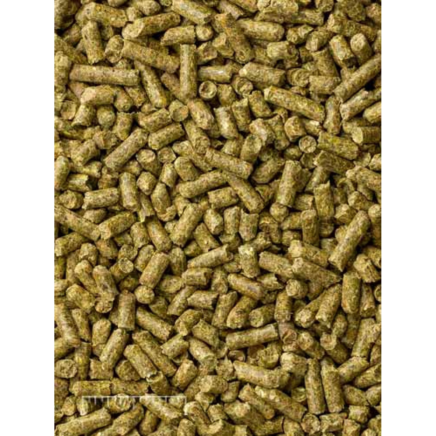 Mazuri® Chinchilla Diet 5M01 25lb