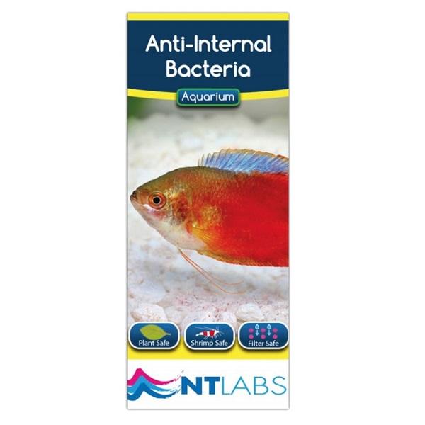 NT LABS Aquarium Anti-Internal Bacteria 100ml NT479