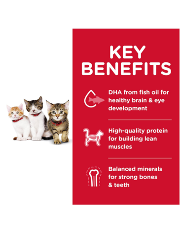 HILLS SCIENCE DIET  Kitten Healthy Development Cat Dry Food       (2 Sizes)