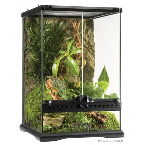 EXO TERRA Terrarium PT2602 Mini Tall DIMENSIONS (DXWXH) 30 x 30 x 45cm
