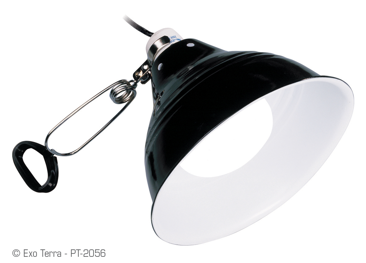 Exo Terra Glow Light Small PT2052 / PORCELAIN CLAMP LAMP + GLOW REFLECTOR 