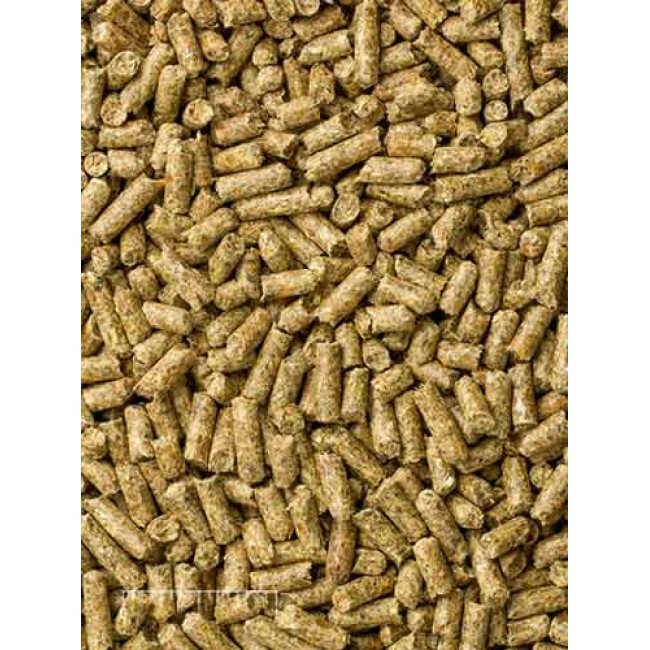 Mazuri Timothy-Based Guinea Pig Diet 1kg 5664 