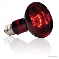EXO TERRA Infrared Basking Spot R25 100w (PT2144)