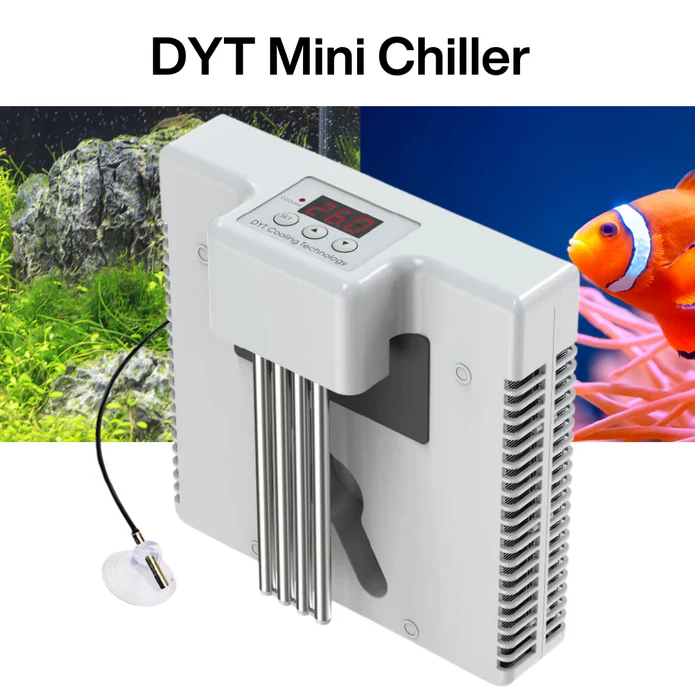 DYT Mini Chille