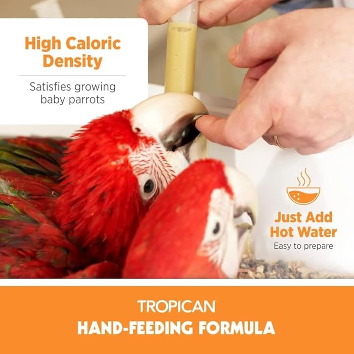 Hagen Tropican Hand Feeding Parrot Food, 2kg Baby Bird Food for Optimal Growth CD-304