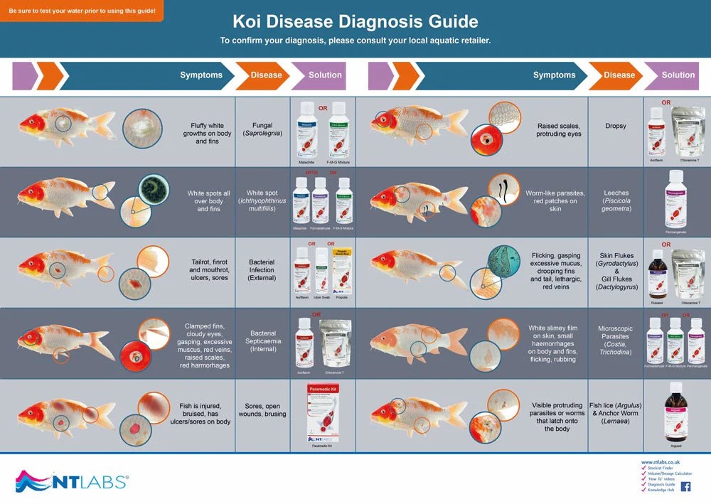 NT LABS Koi Care Mediclay 1.5kg (nature clarity) NT357