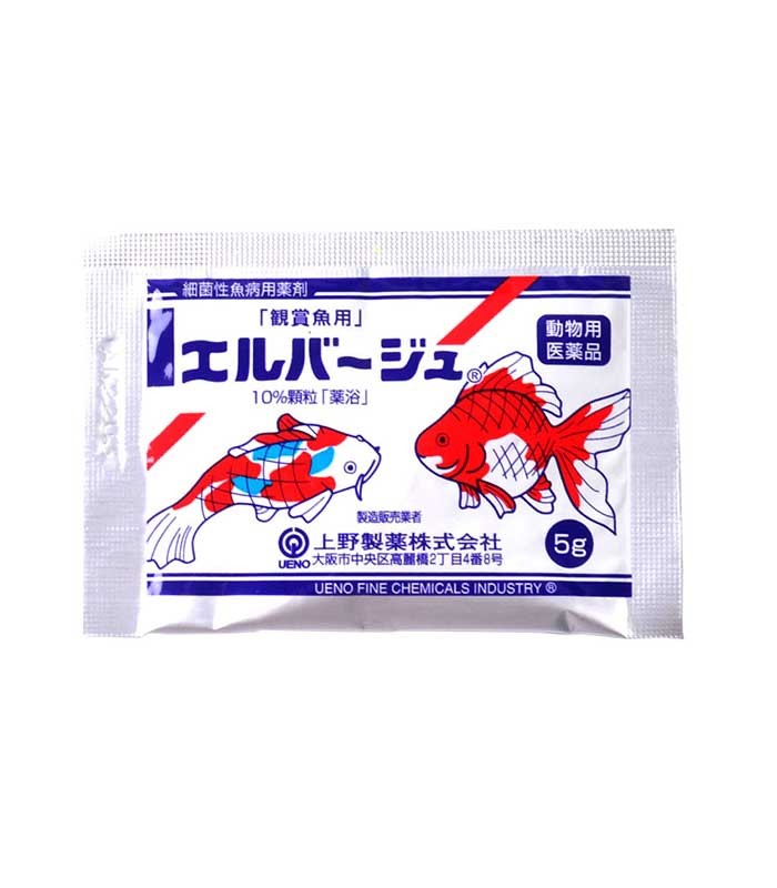 UENO Rhubarb Japan Yellow Powder Anti-Bacterial 5gm